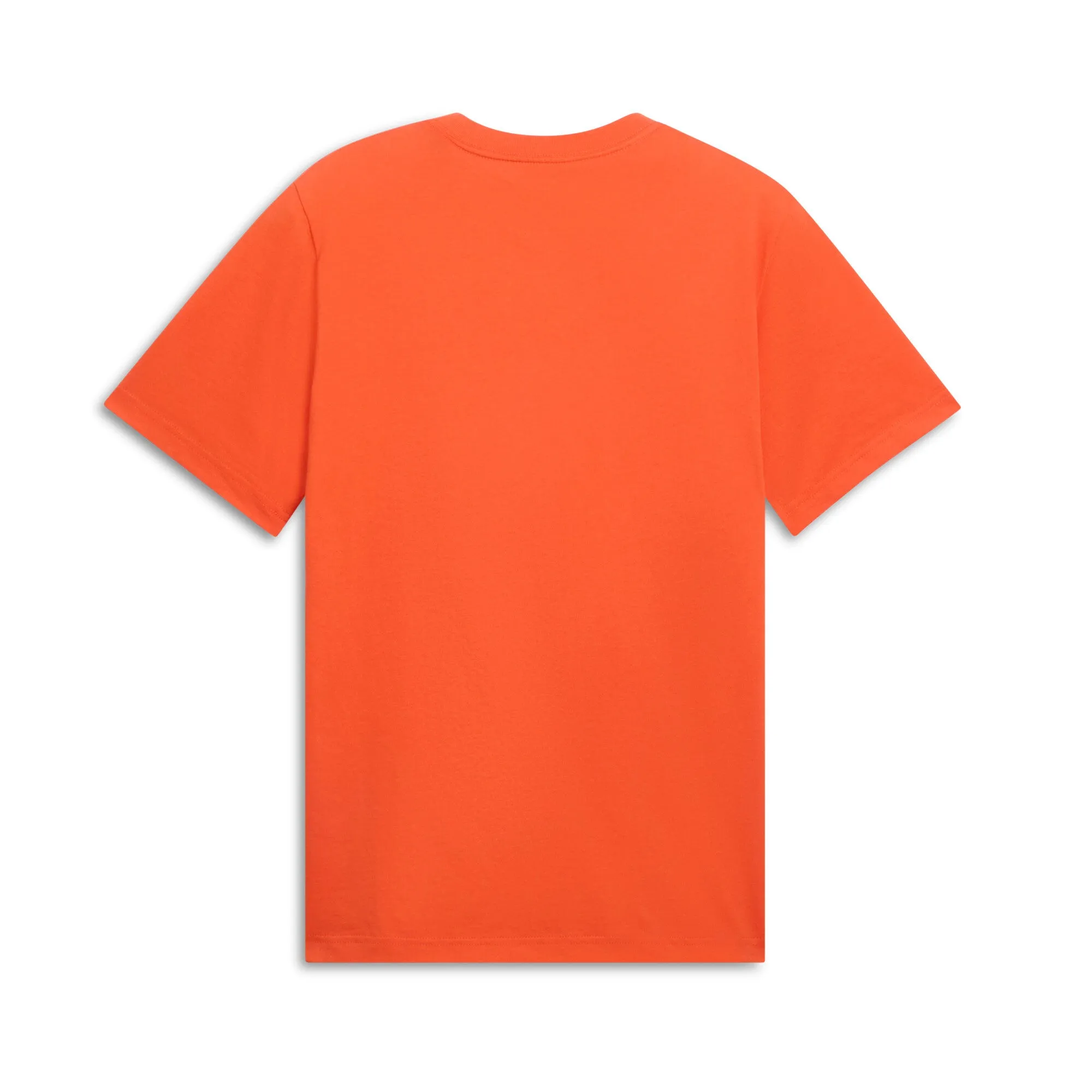 PUMA Men's GRAPHICS Shoe Tee