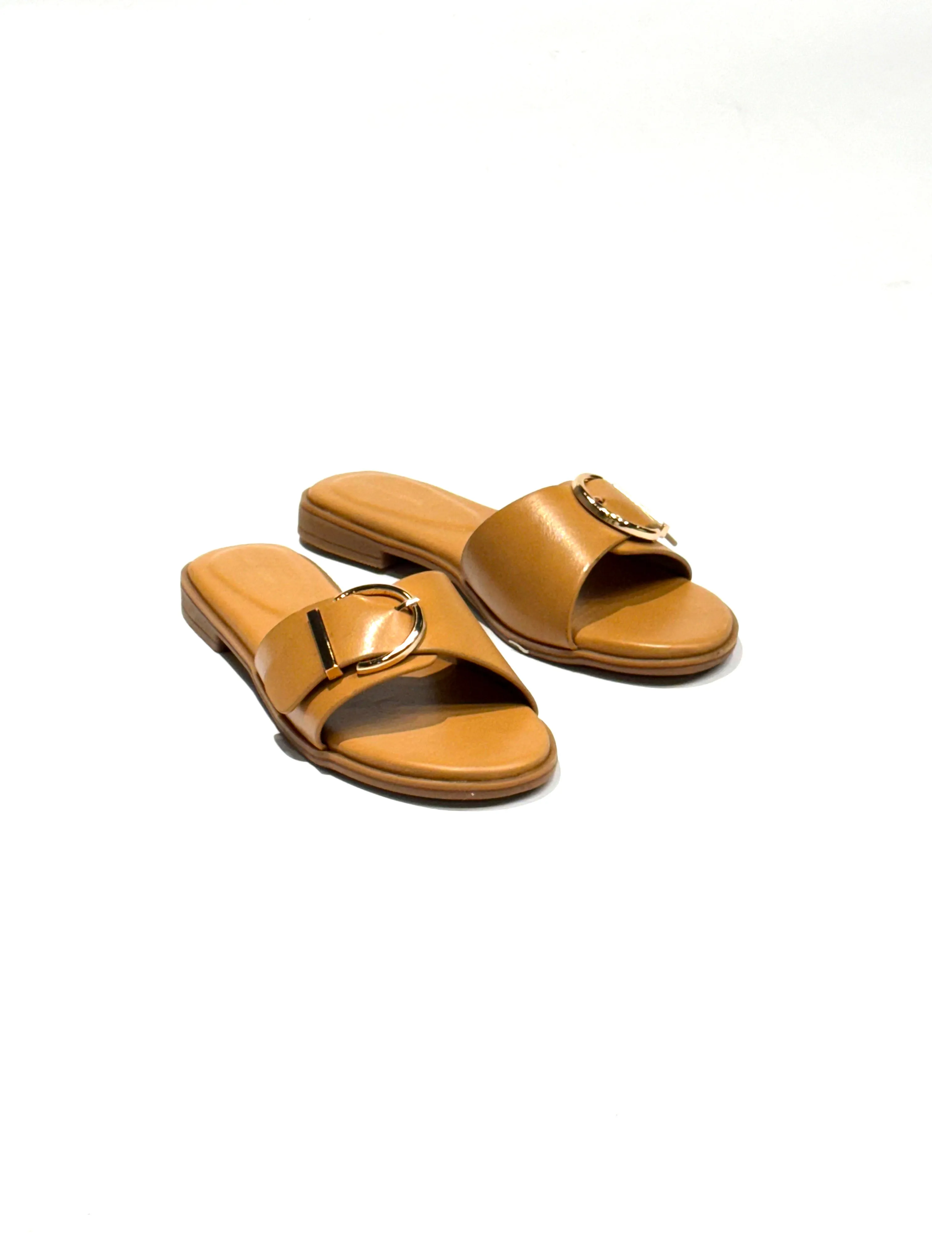 Texax Montana
